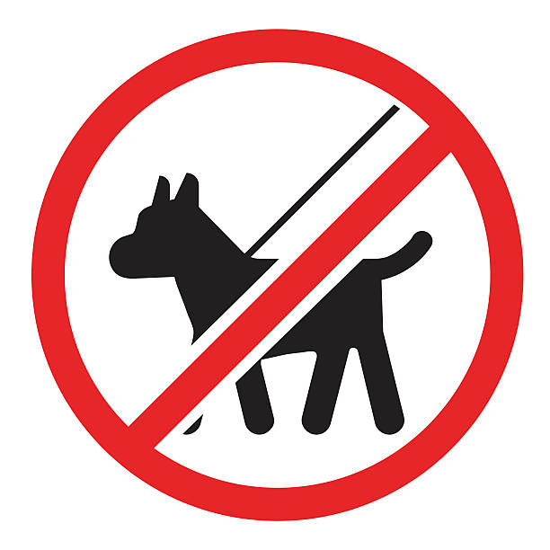 Sorry, due to COVID restrictions, dogs, except service dogs, are not allowed at the Market. Please leave your pets at home.