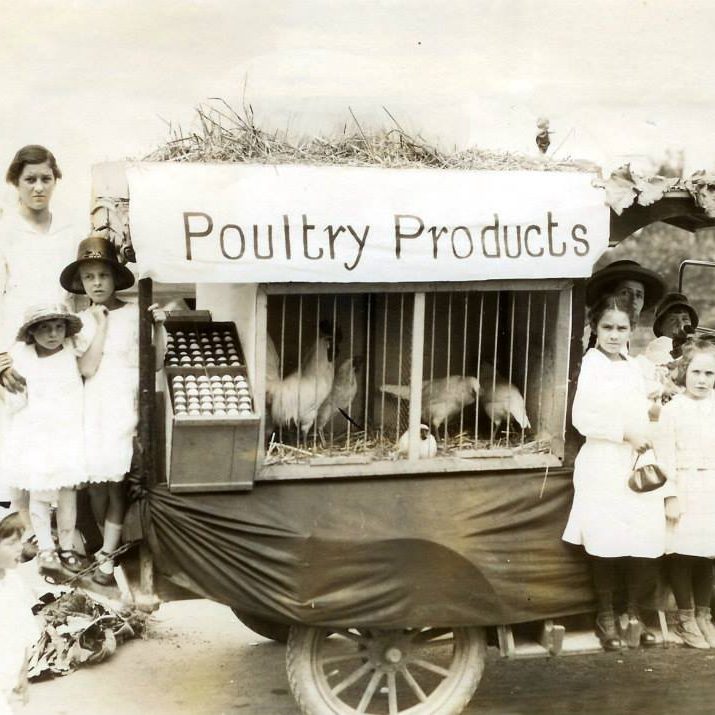 poultrytruckhistory